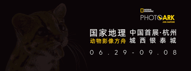 1分錢坐公交，5折買charles&keith，穿着水晶鞋的我就是這麼拽