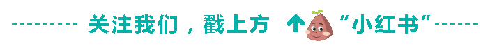 紅遍亞洲的平價小天王Charles&Keith空降小紅書！
